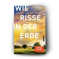 Außenansicht des Buches „Wie Risse in der Erde“