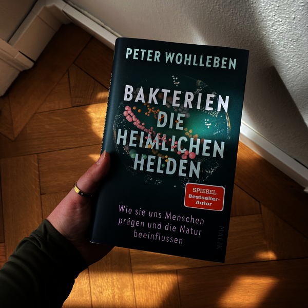 Wohlleben; Bakterien