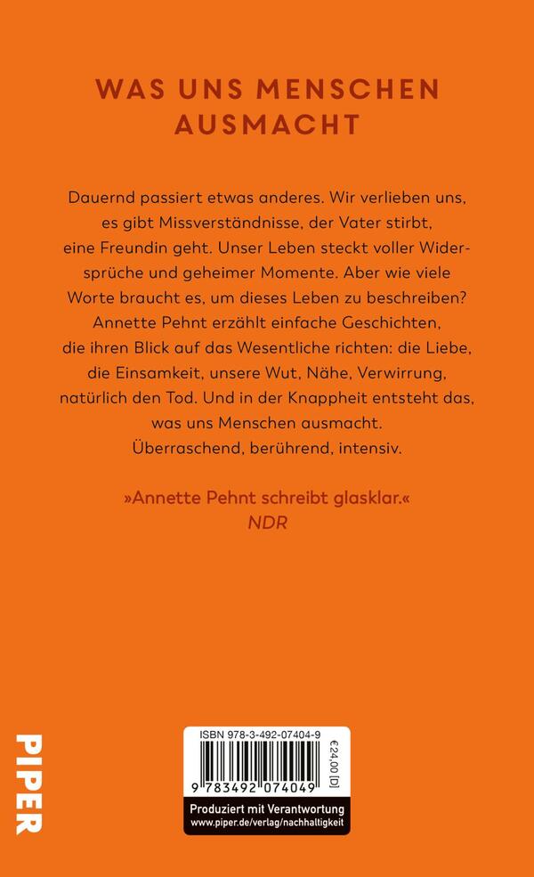 Rückansicht des Buches „Einen Vulkan besteigen“