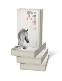 Bücherstapel des Buches „Im ersten Licht“