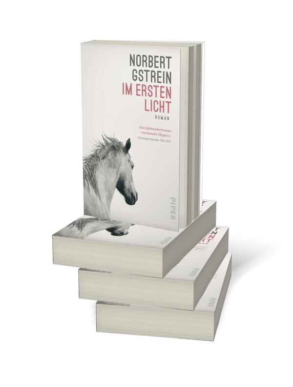 Bücherstapel des Buches „Im ersten Licht“