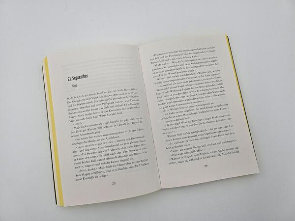 Außenansicht des Buches „Niemand hört dich“