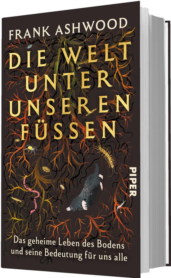 Das Buchcover zeigt ein dunkles, erdiges Motiv mit dicht verzweigten Wurzeln in Orange-, Gelb- und Rottönen vor schwarzem bis braunem Hintergrund. Großformatiger Titel „DIE WELT UNTER UNSEREN FÜSSEN“ in gelbgoldener, serifenbetonter Majuskeltypografie, darüber der Autorenname „FRANK ASHWOOD“. Im Vordergrund ein schwarzer Maulwurf, umgeben von Regenwurm, Hundertfüßer und weiteren Bodeninsekten. Stimmung: geheimnisvoll und naturwissenschaftlich; unten die weiße Unterzeile „Das geheime Leben des Bodens und seine Bedeutung für uns alle“.