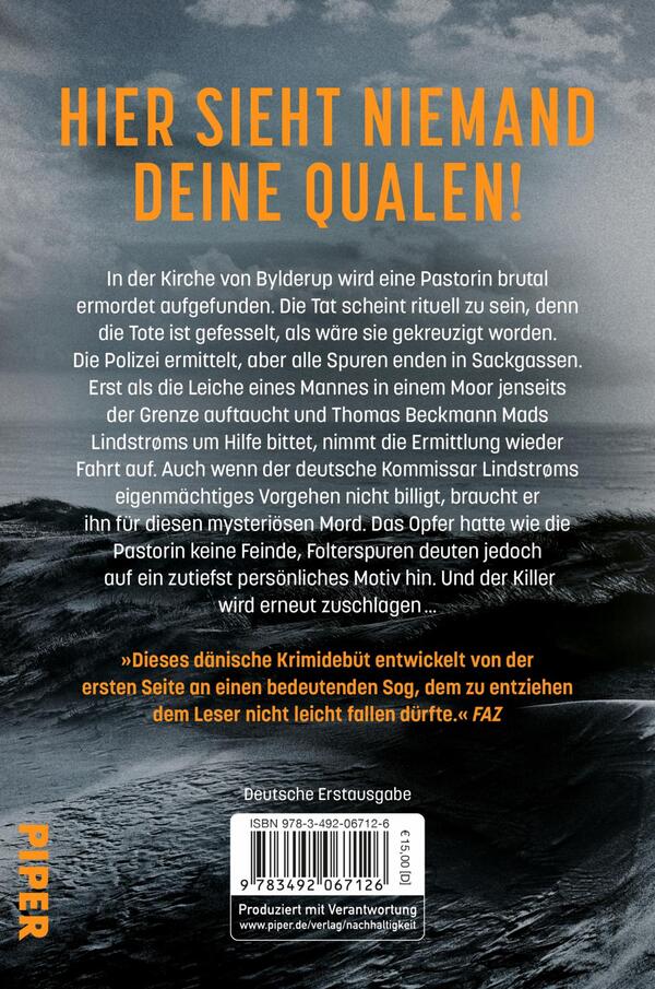 Rückansicht des Buches „Niemand sieht dich“ 