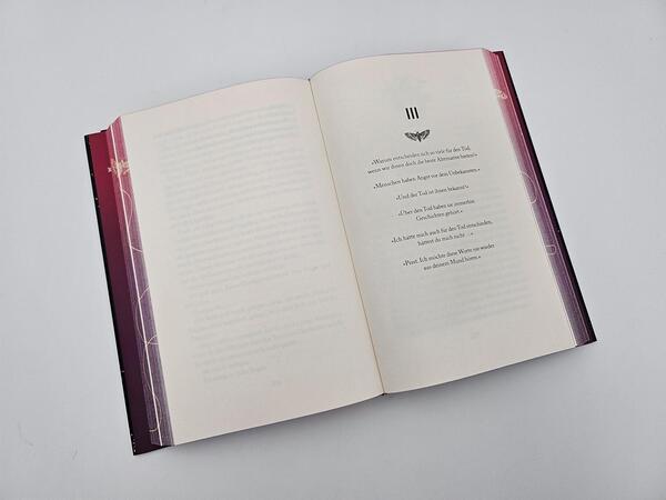 Außenansicht des Buches „Twelve of Nights – Das gestohlene Herz“