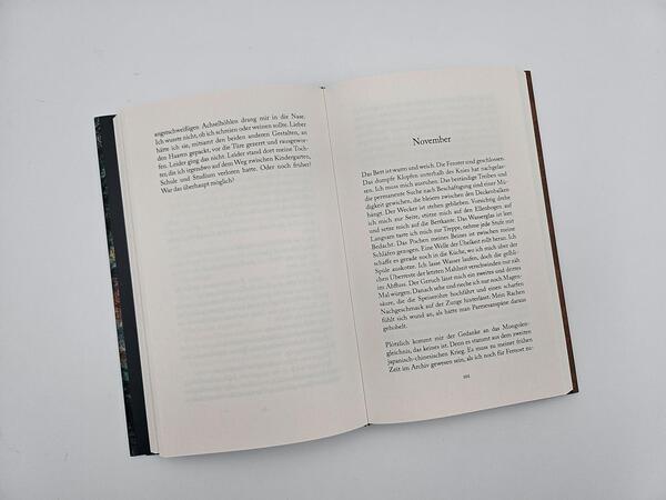 Außenansicht des Buches „Dunkelholz“