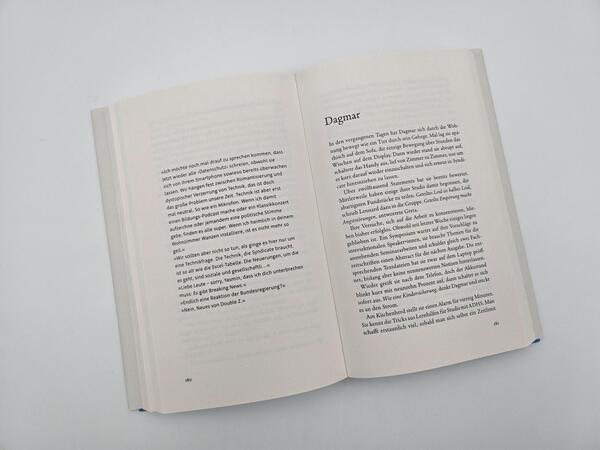 Außenansicht des Buches „Gesellschaftsspiel“