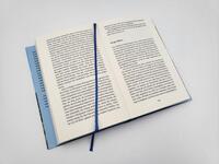Innenansicht des Buches „Wilde Berge, weites Land“