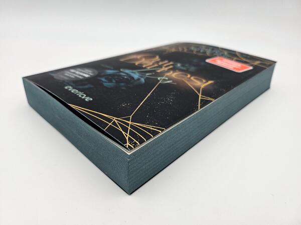 Außenansicht des Buches „Our darkest Lies“