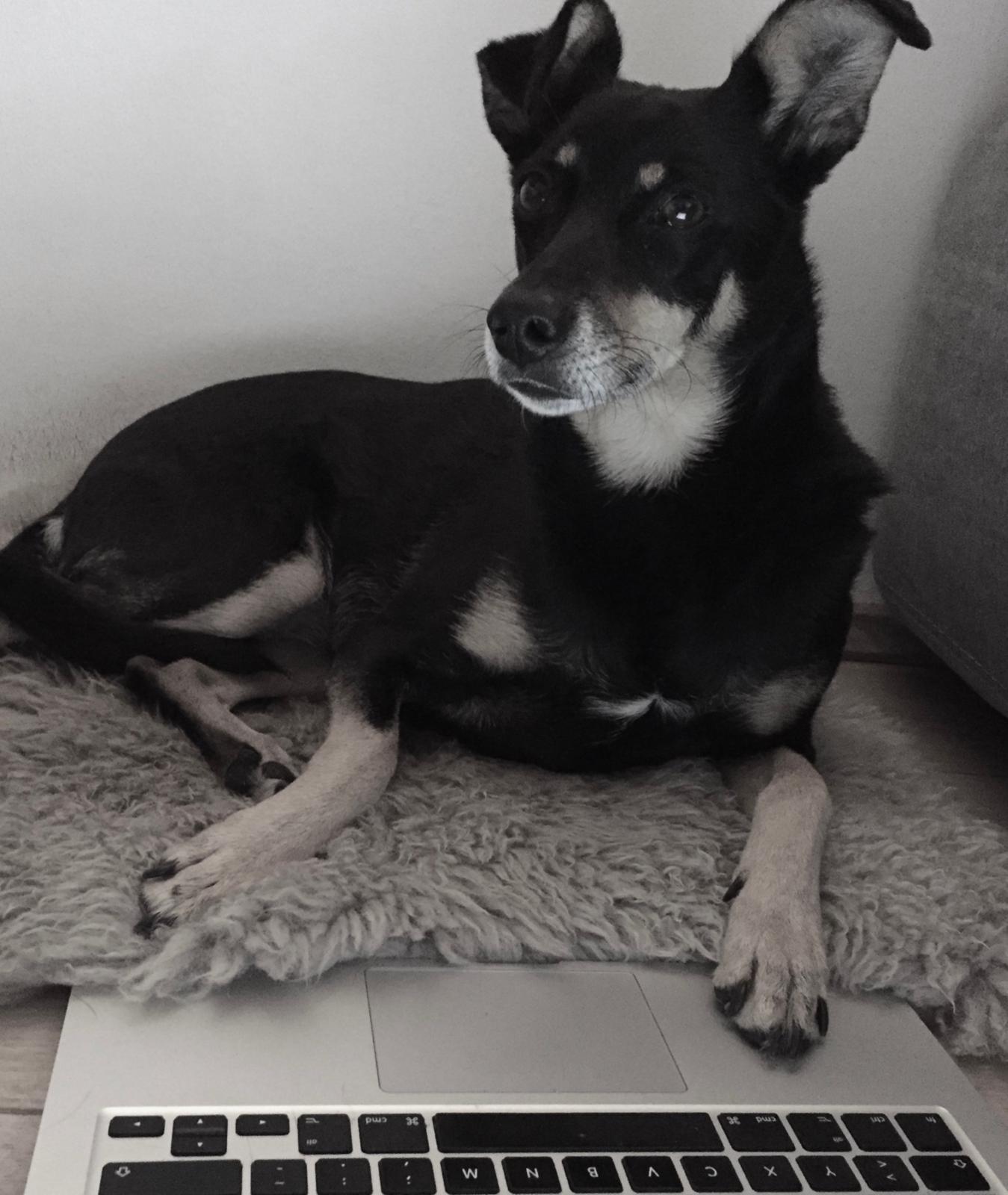 Foto von Lily Schönfuß