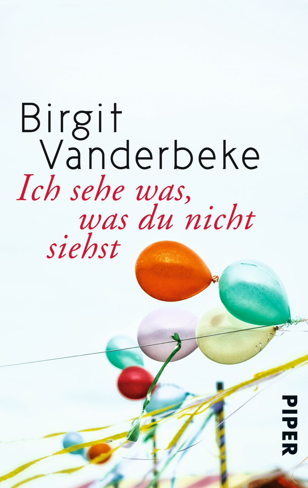 Ich sehe was, was du nicht siehst von Birgit Vanderbeke PIPER