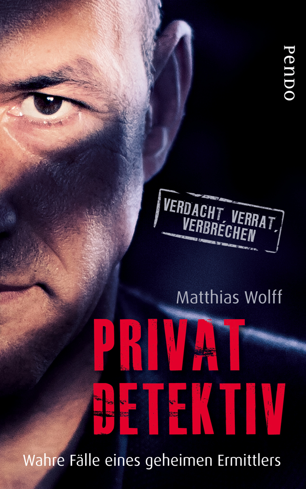 privatdetektiv isbn 978 3 492 96176 9 ebook 1