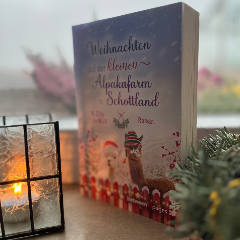 Weihnachten auf der kleinen Alpakafarm