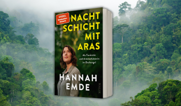 Meereschildkröte im Ozean