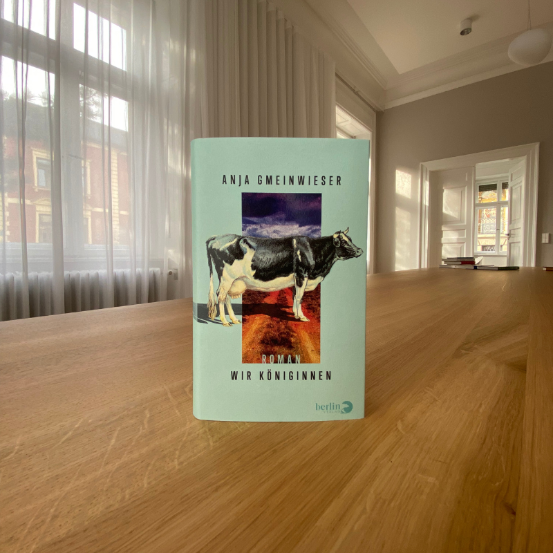 Roman "Wir Königinnen"