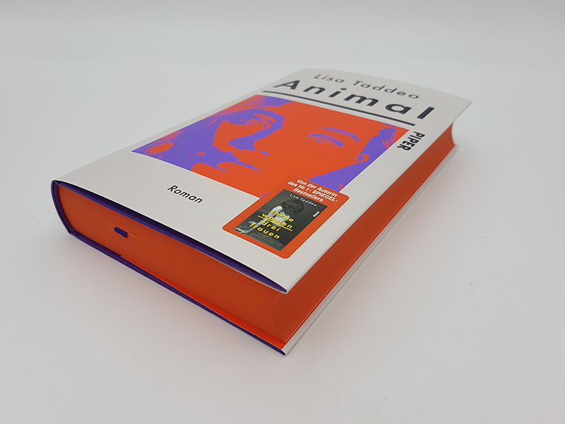 Lisa Taddeo Bestseller Buch