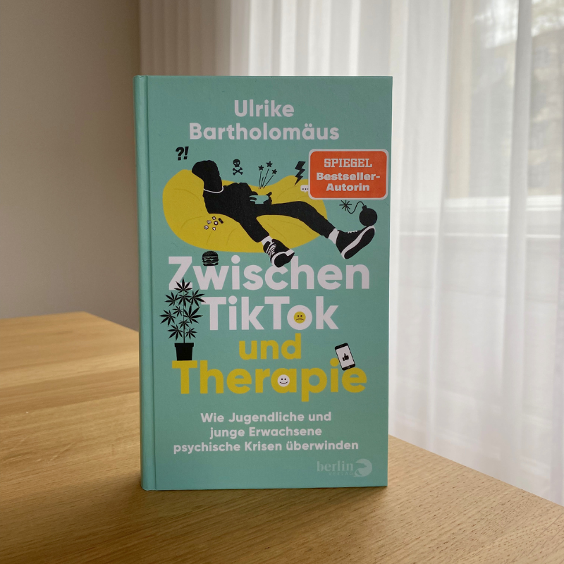 Buch Social Media Jugendliche