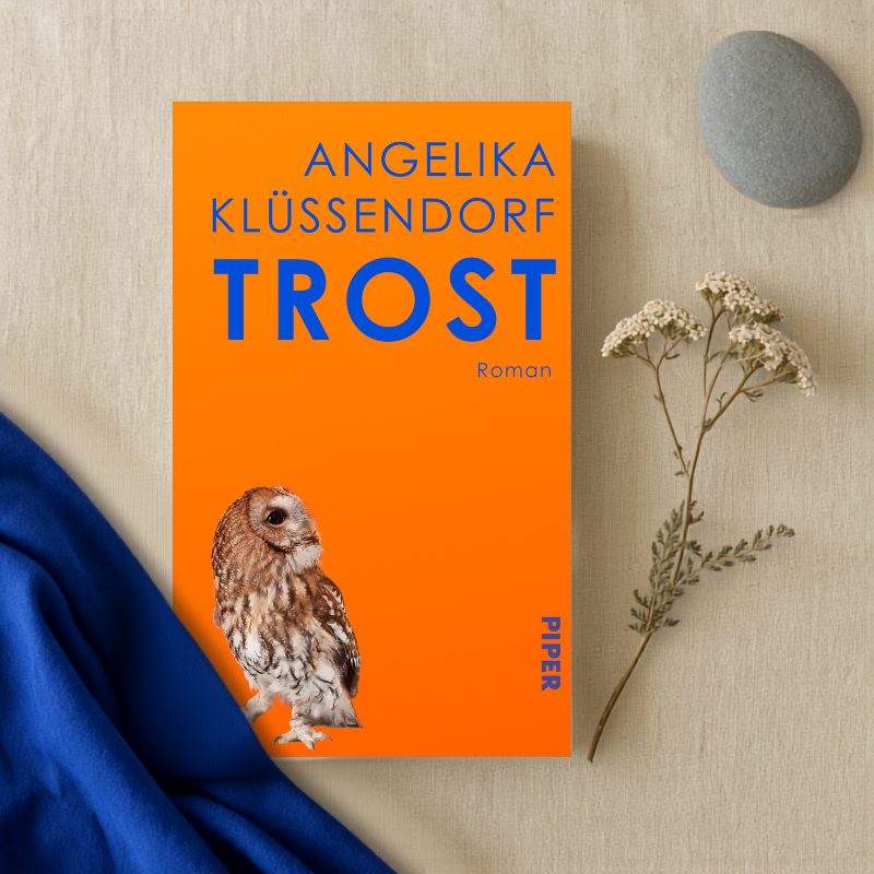 Roman Angelika Klüssendorf